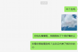 当阳为什么选择专业追讨公司来处理您的债务纠纷？